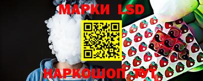 гидра Малгобек