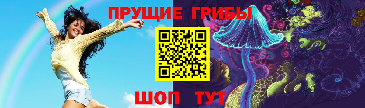 купить наркотик  Вход с VPN  Георгиевск  Галлюциногенные грибы MAGIC MUSHROOMS  Галлюциногенные грибы Psilocybine cubensis 